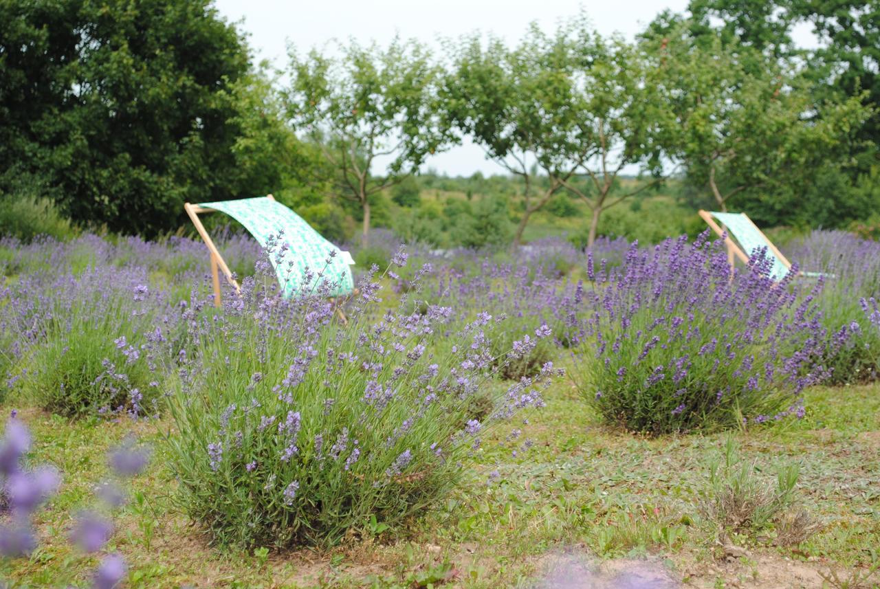 Lavender Village Kiemeliai Exterior photo