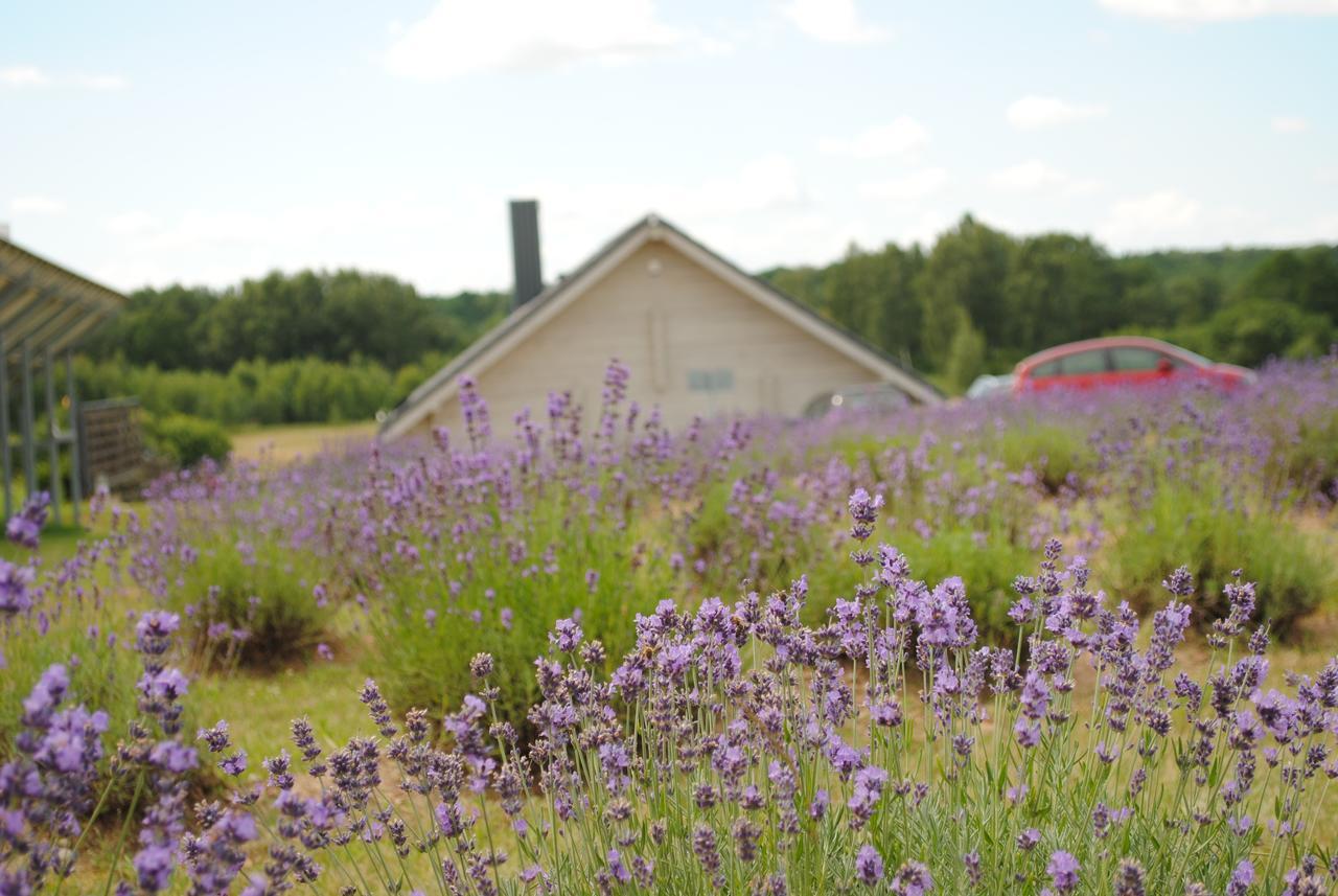 Lavender Village Kiemeliai Exterior photo